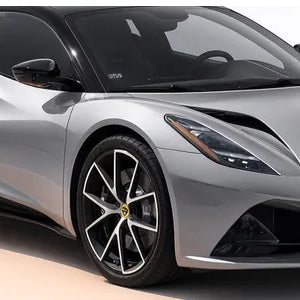 lotus floor mats
